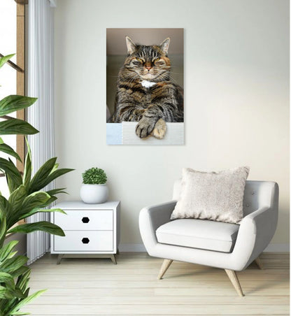 Lord of the Living Room