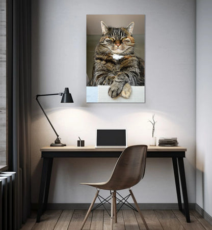Lord of the Living Room