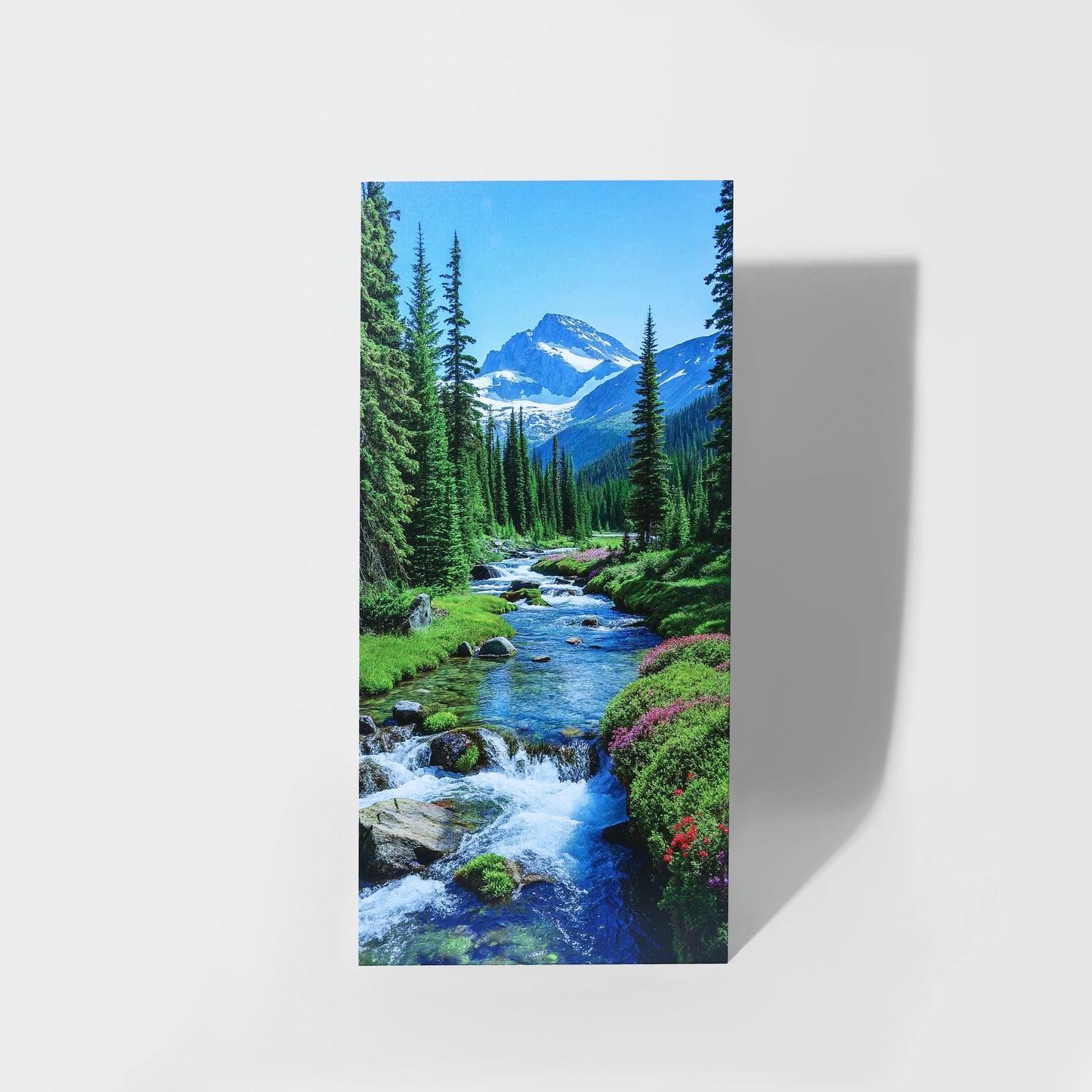 Panoramic Product