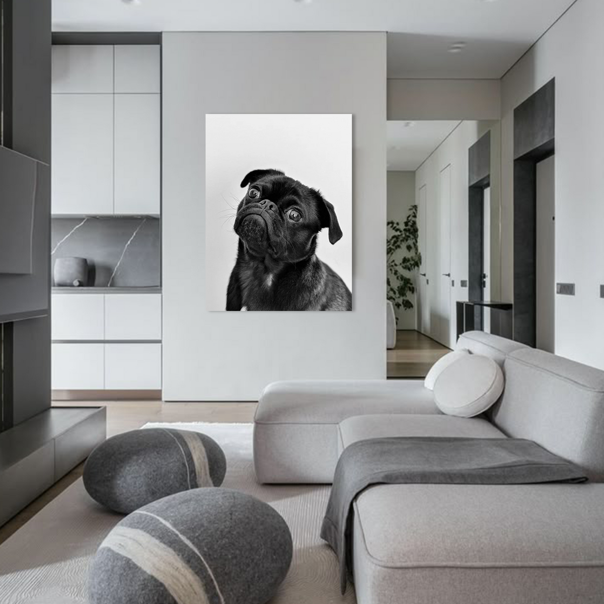 Playful Pug